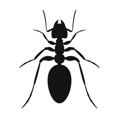 Ant vector logo in flat design. Black ant icon isolated.