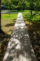 wood foot path in the summer forest 