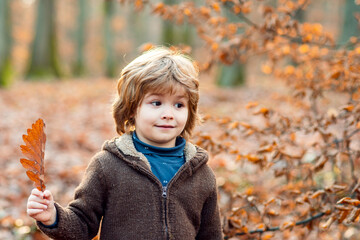 Outdoor autumn child enjoying nature. Portrait kids with funny face on yellow maple leaves.