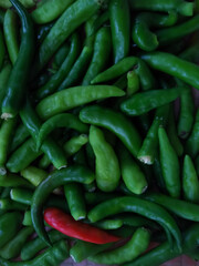 Fresh vegetable green chilli peppers