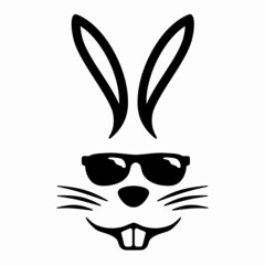 bunny with sunglasses, easter bunny, bunny with sunglasses, bunny with nose, © photoidea