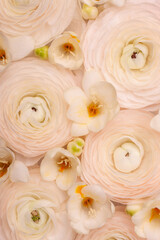 Light floral vertical composition of natural fresh ranunculi and freesia in a pastel pink-cream colour.