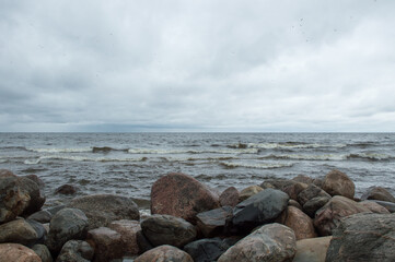 sea coast line with big stones