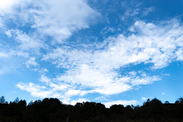 Obraz premium 気持ちいい青い空