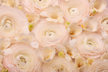 Light floral composition of natural fresh ranunculi and freesia in a pastel pink-cream colour.