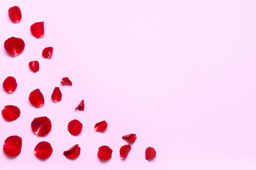 Beautiful rose petals on color background