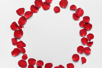 Frame made of beautiful rose petals on light background