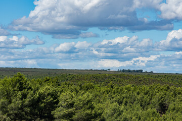 Obraz premium France, Aude, Narbonne, Fleury sur Aude, Saint-Pierre sur Aude, Gouffre de l'œil doux 