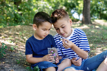 Little boys watch the acorn in the forest