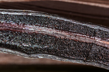 Gros plan sur gousse ouverte de vanille 