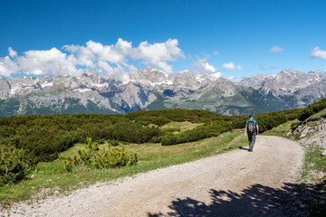 Fototapeta premium Isolated hiker walking on a trail with the alpine range of Adamello-Brenta on the background - Andalo, Trentino Italy