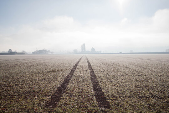 Spur auf dem Feld im Winter, Dunst im Hintergrund, Sonne leuchtet im Nebel, Wiese gefroren, Traktor fuhr &uuml;ber Acker