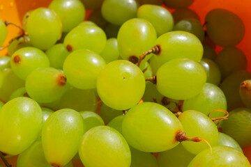 bunch of green grapes