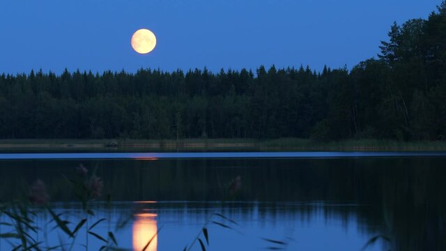 Time lapse video of full Moon rising in a low angle making beautiful reflection into a calm lake surface.