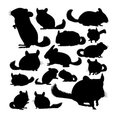 Chinchilla animal silhouettes. Good use for symbol, logo, web icon, mascot, sign, or any design you want.