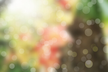 Obraz premium Blur abstract bokeh background with orange flowers.