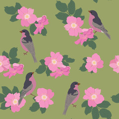 Seamless vector illustration with flowers of wild rose and birds