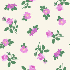 Seamless vector illustration with tender roses and rosehip flowers