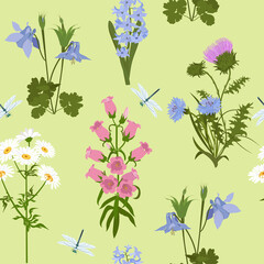 Seamless vector illustration with wildflowers