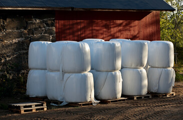 White hay bales in a farm in the evening light 