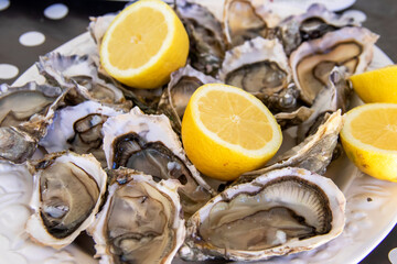 Huîtres creuses sur une assiette prêtes pour la dégustation	