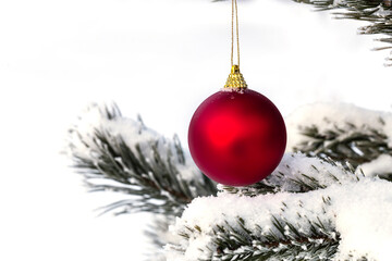 Christmas decorations on the pine branch