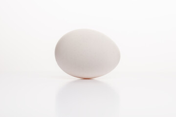 White egg on white background
