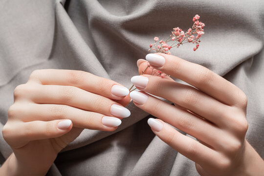 Female hands with white nail design. Female hands holding pink autumn flower. Woman hands on beige fabrick background