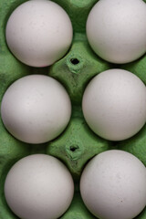 Close up of eggs in a green carton box . Top view.