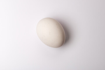 White egg on white background