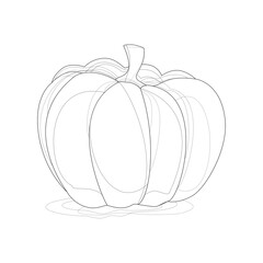 Autumn vegetable Pumpkin. A sketch on a white background for Halloween. Black and white.