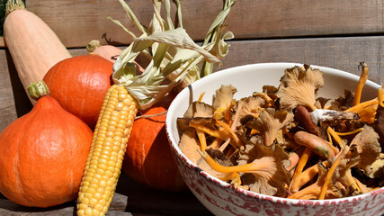 Kürbis und Mais aus dem Garten auf den Tisch, Pilzmischung aus dem Wald, Reizker, Kraterellen, Schmierling für Pilzgericht, essbare Pilze in Herbstfarben in Schüssel, Herbstgericht