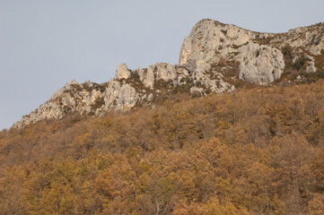 Cliff and forest in the Pyrenees of Huesca. Aragon. Spain.