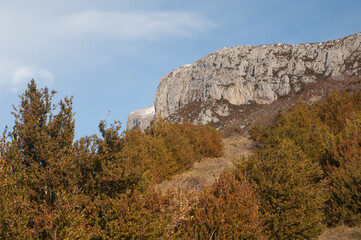 Cliff and forest in the Pyrenees of Huesca. Aragon. Spain.