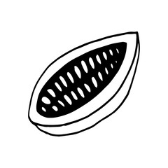 cocoa bean half hand drawn vector doodle. single element for design icon, label, menu, sticker. food, plant