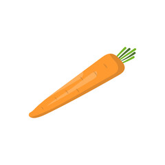 vegetable