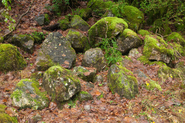Rocks covered with moss in the Ordesa and Monte Perdido National Park. Añisclo Canyon. Pyrenees. Huesca. Aragon. Spain.