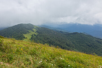 Fototapeta premium The landscape of the Carpathian mountains covered with forest is shrouded in fog and storm clouds.