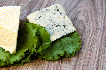 Cheese with a noble mold with lettuce leaves.