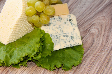 Cheese with a noble mold with lettuce leaves.