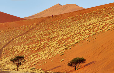 Namibia Desierto de Namib