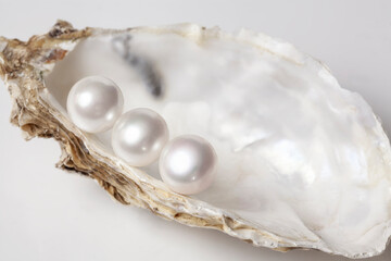 Oyster with pearls isolated on white.