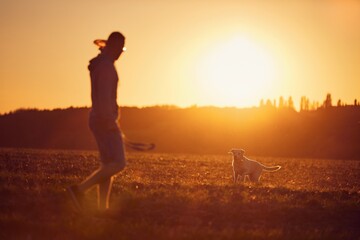 Fototapeta premium Man throwing flying disc for his dog