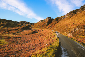 Sheep in the pasture, Quiraing, Skye, Scottish highlands