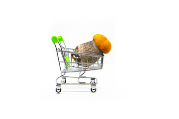 Mushroom in a grocery basket on a white background.