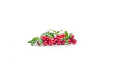  Lingonberry berries on a white background.