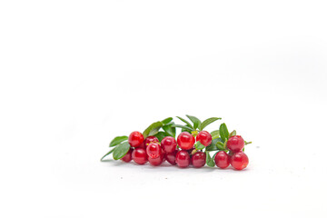 Lingonberry berries on a white background.
