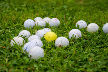 Top view of group of white golf balls, one yellow in focus, on grass, horizontal, with copy space