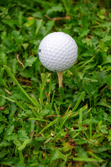 Close-up of white golf ball on tee, in green grass, vertical, with copy space