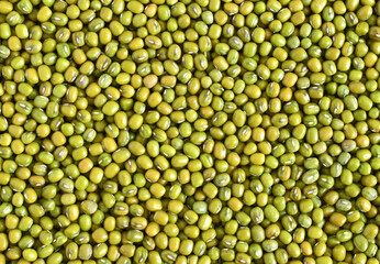Mung bean seed (Green beans) background , background pattern,Green beans, agricultural products,Top view..